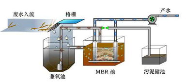 专业隔油池生产厂家