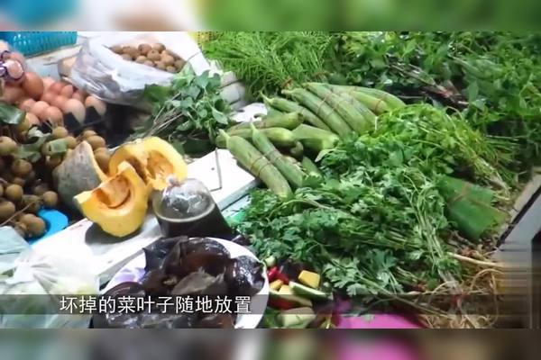 迪拜菜市场奢华与贫困并存的反思