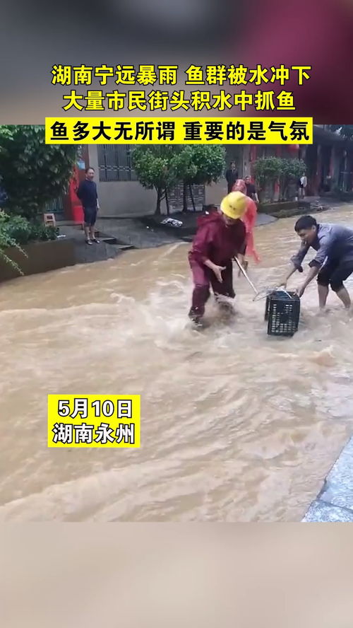 辟谣，暴雨后水中抓鱼并非明智之举