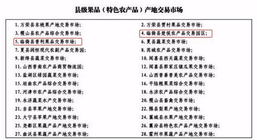 政府巨资投入下的卷啥现象探究