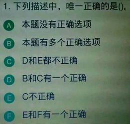 幽默背后的智慧与边界——成人笑话的尺度与责任