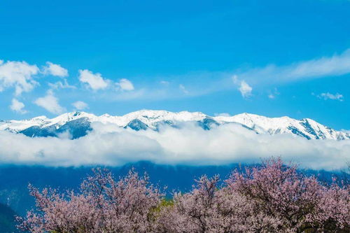 穿越千年的桃花源 —— 林芝，藏东秘境的春天之歌