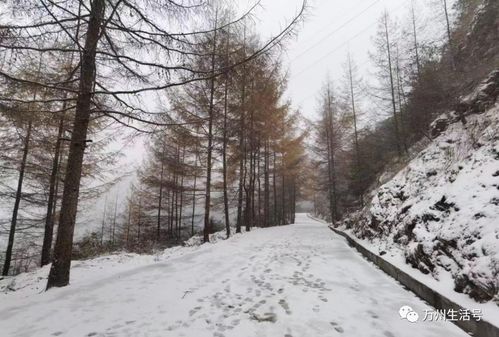 辟谣，重庆九月降雪并非事实