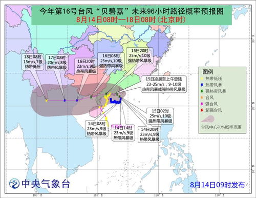 贝碧嘉进48时警戒线，台风预警下的全方位准备