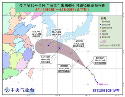 台风贝碧嘉登陆上海，城市应对与影响分析