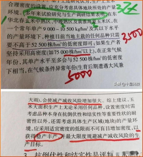 教师挪用十九万学杂费，职责之失与道德之问