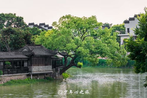 流拍警钟敲响，苏州园林价值何在？深度剖析园林市场现状与思考