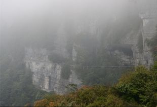 探秘金佛山，重庆的隐世仙境，一日游全攻略