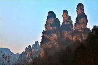 探寻黄山之巅的绝美之旅——一条不容错过的旅游线路