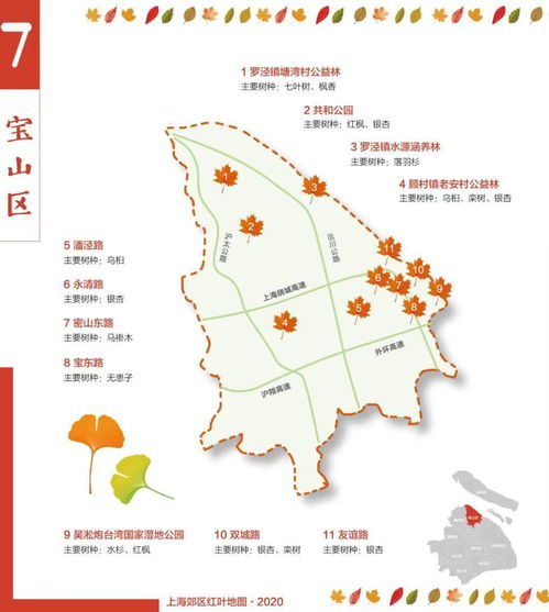 全国赏秋地图出炉，探寻五彩斑斓的秋日画卷