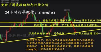 本周黄金市场回顾，波动中显现市场韧性