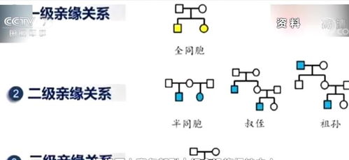 无名烈士身份确认的意义与挑战