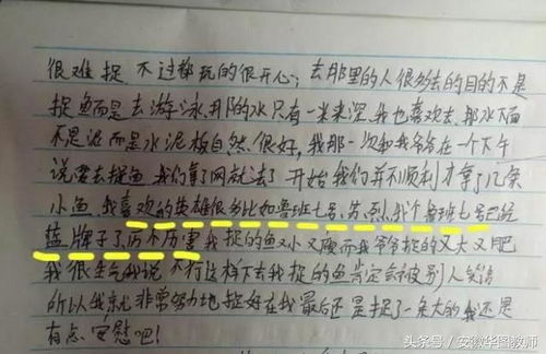 小学生神作，那些年，我们被逗乐的搞笑作文