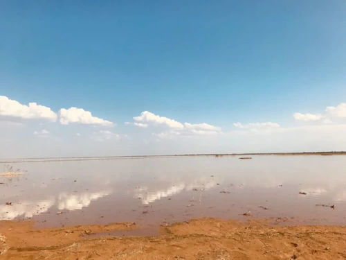 探寻黄河之畔的瑰宝——三门峡，带你走进那些不可错过的旅游胜地