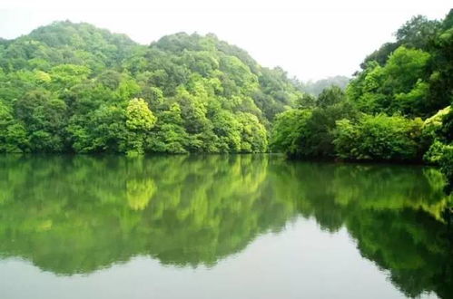 鼎湖山风景区——探索岭南自然之美