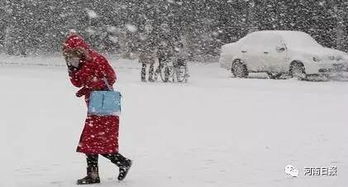 暴雨与罕见大暴雪同框，极端天气的挑战与应对