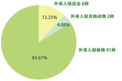 四川遭外来物种入侵，挑战与应对策略