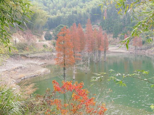 清远旅游景点大全，探索岭南的自然与人文之美