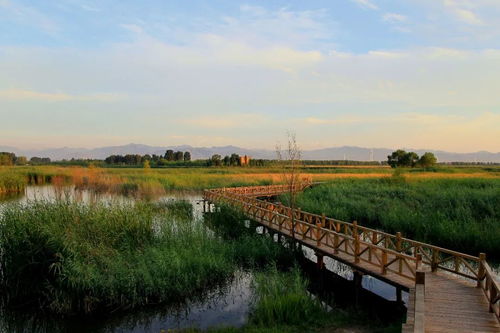 野鸭湖湿地公园，城市中的绿洲