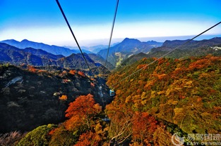 金佛山旅游攻略，探秘神秘的自然与人文天堂