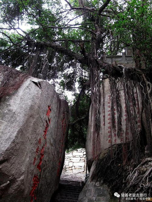 探索福建的自然与文化宝藏