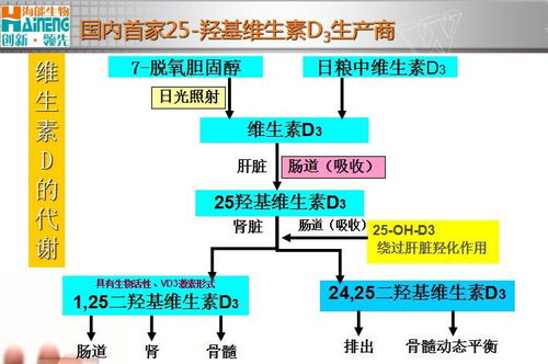 西班牙交通瘫痪危机，影响、原因与解决方案