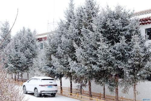 郑州迎入冬第一场雪