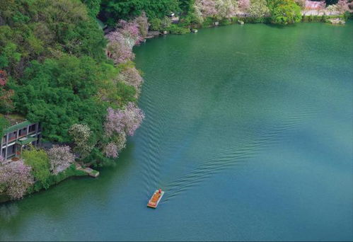 山水间的诗意旅程