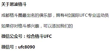 卓伟评恩波格斗声明背后的深层意义