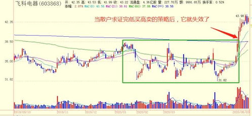 深度剖析背后的诈骗手法与防范措施