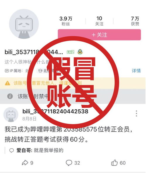 网易辟谣深圳全裁员风波，真相与未来展望