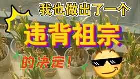 给生活加点笑料