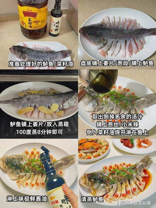 从山林到餐桌的珍馐佳肴