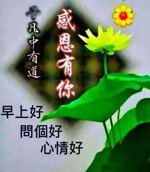 520早安图片问候语，传递温暖与关怀的贴心小确幸