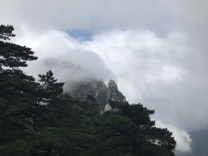 黄山二日游，探寻自然与人文的双重盛宴