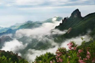 走进祖山风景区，大自然的宝藏与心灵的避风港