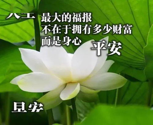 国庆佳节，愿你幸福安康——充满祝福的图片与温馨话语