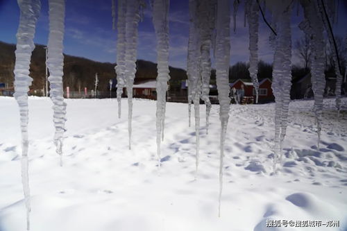 一场梦幻的冰雪之旅