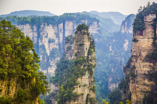 张家界旅游景点大全——探索人间仙境的完美指南