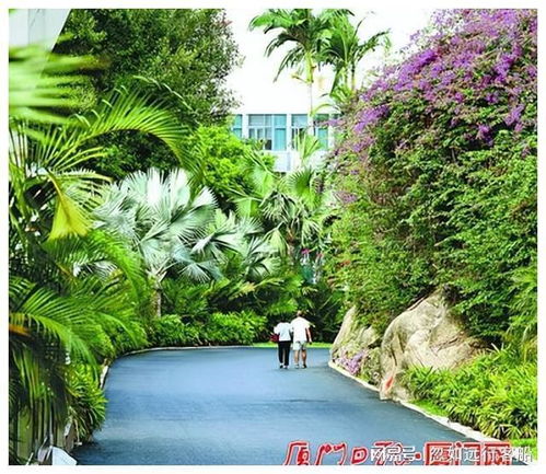 厦门园林植物园，城市绿肺与自然宝藏