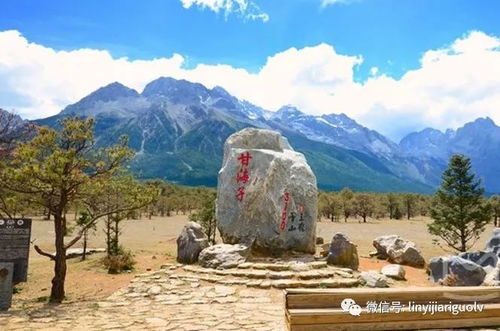 走进云南玉龙雪山，邂逅大自然的壮丽画卷