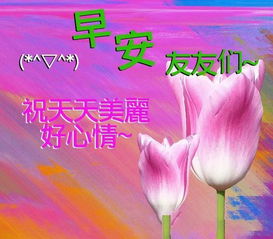 传递温暖与美好的节日问候