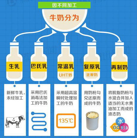 牛奶的营养价值，全面解读与实用建议