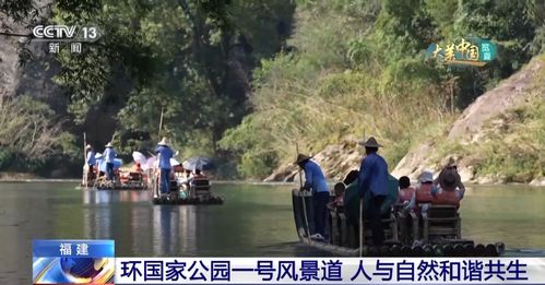 武夷山公园惊现新物种，探索自然奥秘之旅