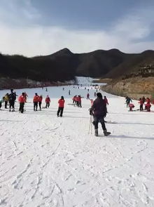 静之湖滑雪场——冬季冰雪运动的绝佳去处