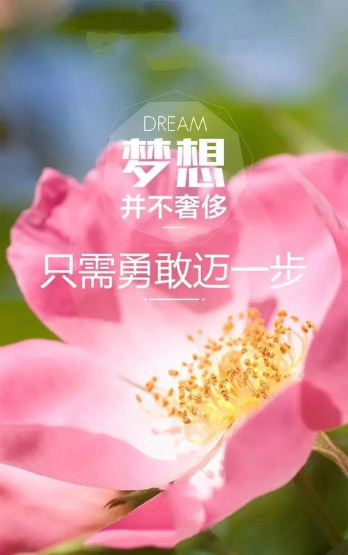 4月你好，那些温暖而美好的朋友圈句子