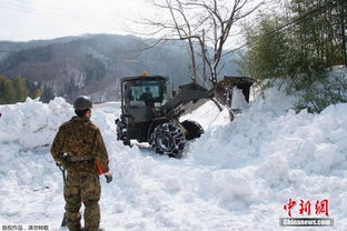 日本积雪最厚达5米的惊人景象与影响