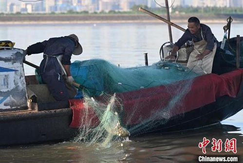 钱塘江畔的守护，禁渔期的来临