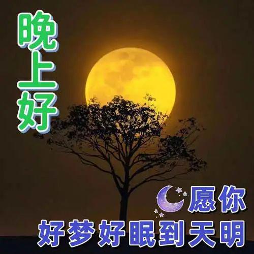 晚上好图片——点亮夜晚温馨时刻的秘密武器