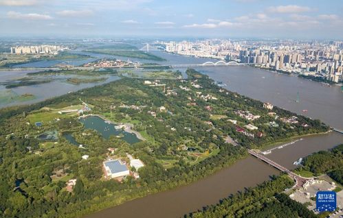 上海太阳岛，休闲娱乐的绝佳去处